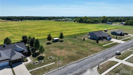 Undeveloped Land for sale in Macoupin County, Illinois