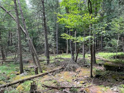 Undeveloped Land for sale in Pike County, Pennsylvania
