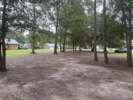 Undeveloped Land for sale in Clarendon County, South Carolina