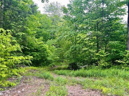 Land for sale in Oswego County, New York