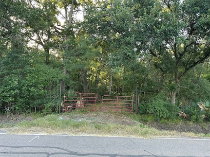 Land for sale in Brazoria County, Texas