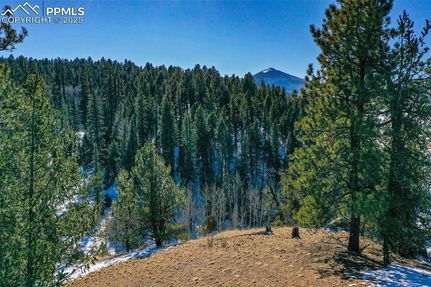 Farm and Ranch for sale in Teller County, Colorado