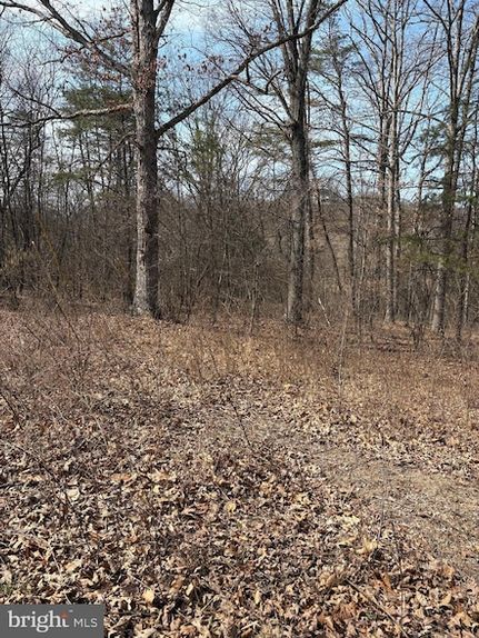 Undeveloped Land for sale in Hampshire County, West Virginia