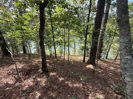Recreational Property for sale in Benton County, Arkansas