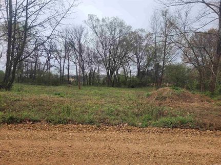 Undeveloped Land for sale in Craighead County, Arkansas