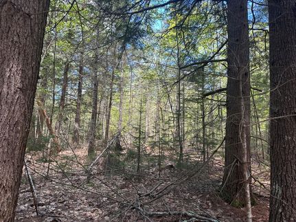 Recreational Property for sale in Lincoln County, Maine
