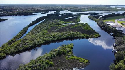 Undeveloped Land for sale in Manatee County, Florida