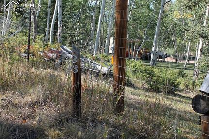 Farm and Ranch for sale in Park County, Colorado