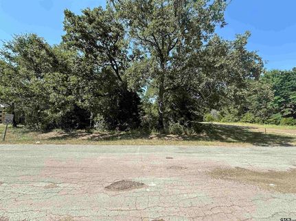 Undeveloped Land for sale in Henderson County, Texas