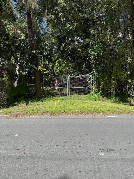 Undeveloped Land for sale in Osceola County, Florida