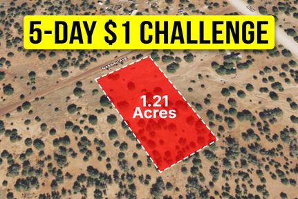 Undeveloped Land for sale in Apache County, Arizona