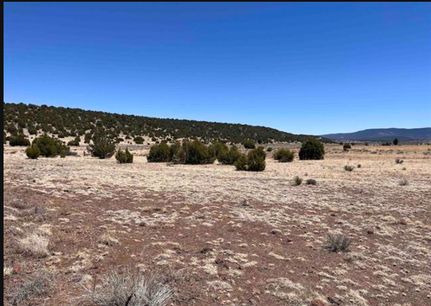 Undeveloped Land for sale in Catron County, New Mexico