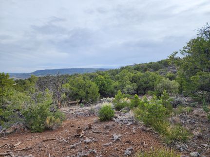 Homesite for sale in Costilla County, Colorado