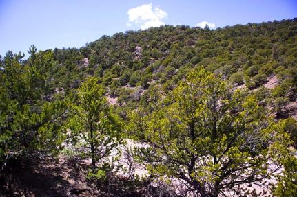 Undeveloped Land for sale in Costilla County, Colorado