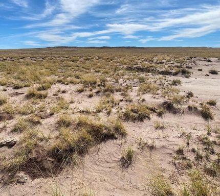 Undeveloped Land for sale in Navajo County, Arizona