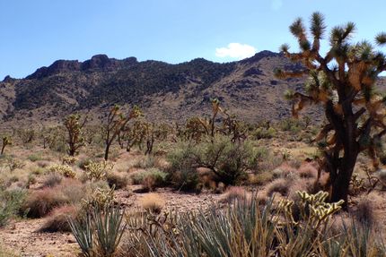 Land for sale in Mohave County, Arizona