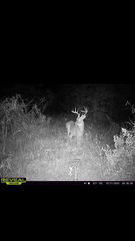 Land for sale in Decatur County, Georgia