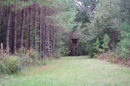 Commercial Property for sale in Williamsburg County, South Carolina