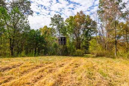 Undeveloped Land for sale in Monroe County, Ohio