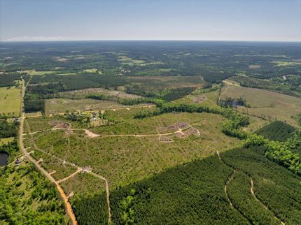 Undeveloped Land for sale in Laurens County, Georgia
