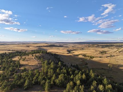Farm and Ranch for sale in Golden Valley County, Montana