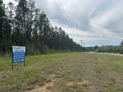 Undeveloped Land for sale in Jasper County, Texas