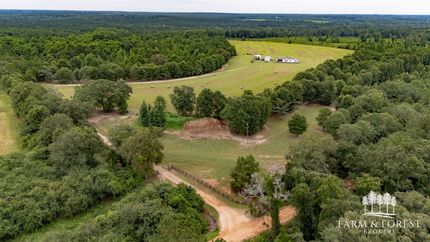 Undeveloped Land in Geneva County, Alabama