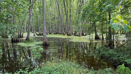 Recreational Property for sale in Pulaski County, Arkansas