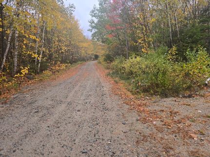 Land for sale in Washington County, Maine