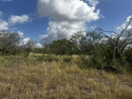 Land for sale in Jim Wells County, Texas