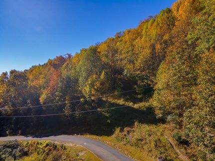 Land for sale in Carroll County, Virginia