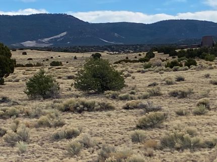 Timberland Property for sale in Catron County, New Mexico