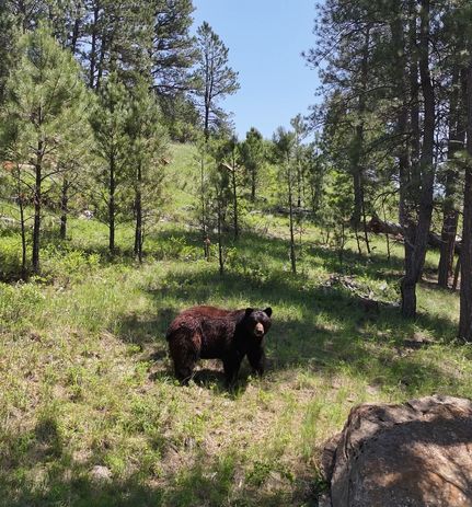 Land for sale in Big Horn County, Montana