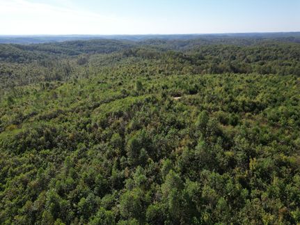 Undeveloped Land for sale in Laurel County, Kentucky