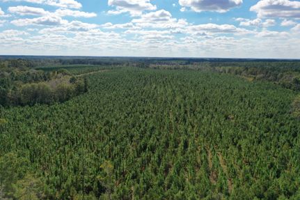 Land for sale in Wheeler County, Georgia