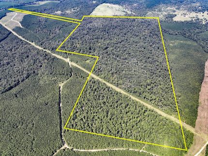 Undeveloped Land for sale in Polk County, Texas