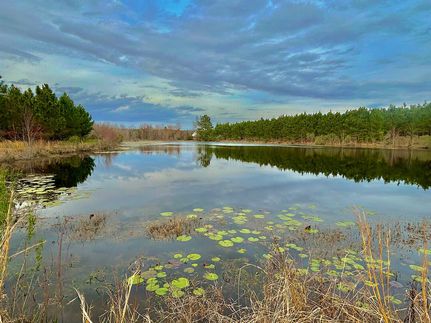 Undeveloped Land for sale in Ben Hill County, Georgia