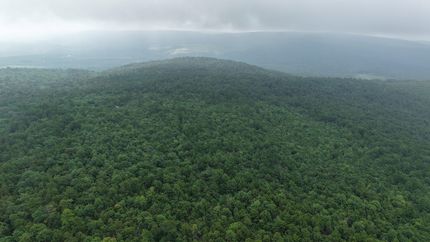 Land for sale in Pushmataha County, Oklahoma