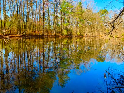 Farm and Ranch for sale in Spalding County, Georgia