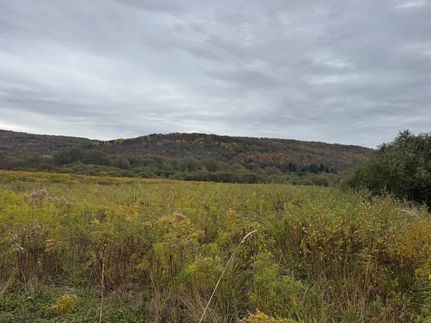 Commercial Property for sale in Cattaraugus County, New York