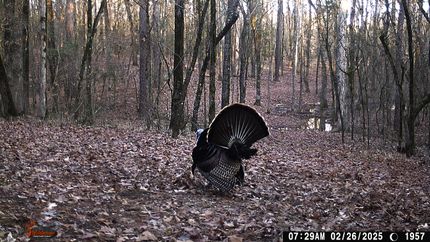 Recreational Property for sale in Bowie County, Texas