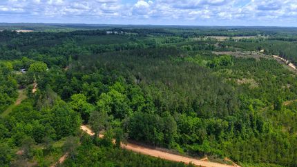 Land for sale in Crenshaw County, Alabama