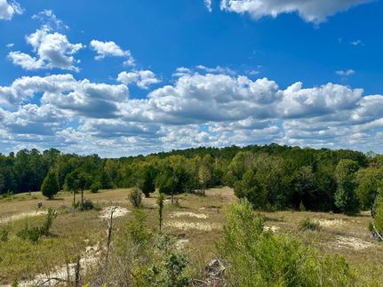 Land for sale in Dallas County, Alabama
