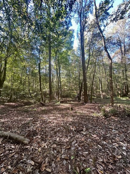 Farm and Ranch for sale in Montgomery County, Alabama