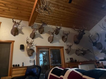 Land for sale in Sawyer County, Wisconsin