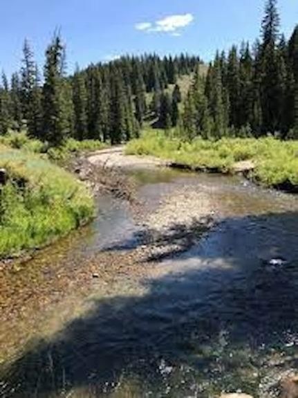 Oceanfront Property for sale in Albany County, Wyoming