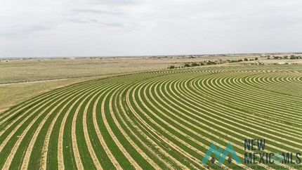 Land for sale in Roosevelt County, New Mexico