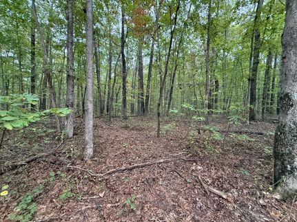 Undeveloped Land for sale in Grundy County, Tennessee