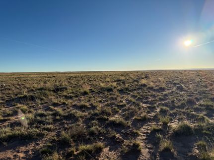 Timberland Property for sale in Navajo County, Arizona