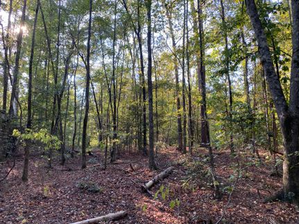 Land for sale in Monroe County, Georgia